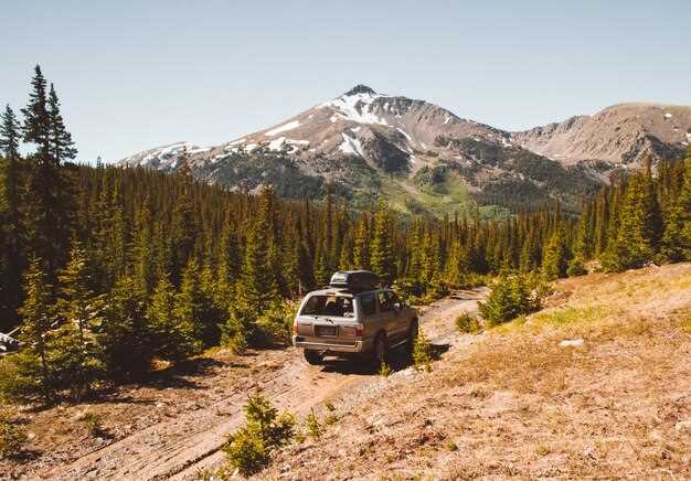 Essential Gear to Bring for Off-Road Adventures